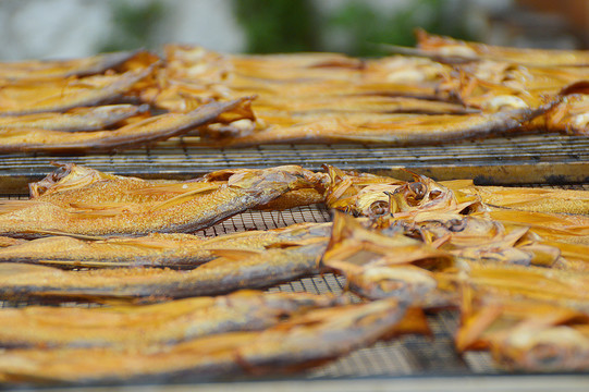 魚干 火焙魚 曬魚