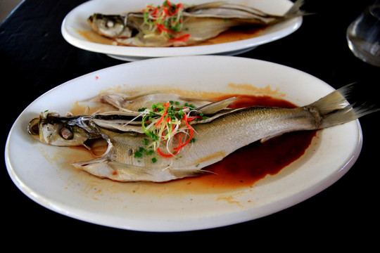 鱸魚