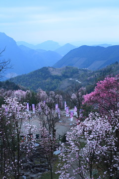 春天的山谷