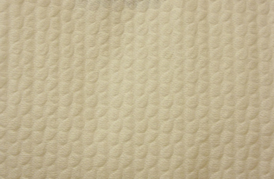 紙紋