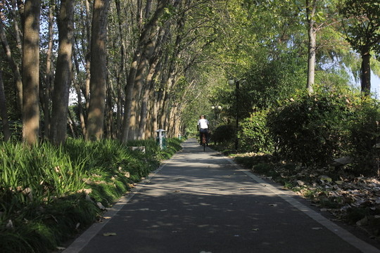 城市綠道