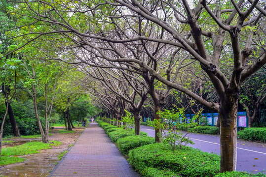 公園綠化
