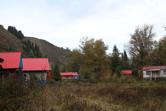 山林紅頂屋