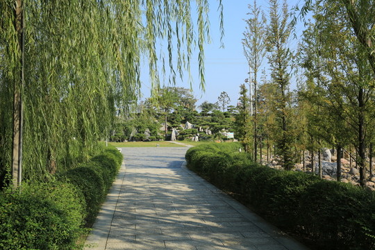 柳蔭路