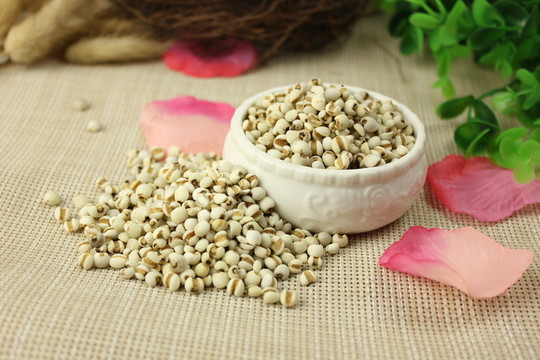 雜糧薏米攝影圖片素材