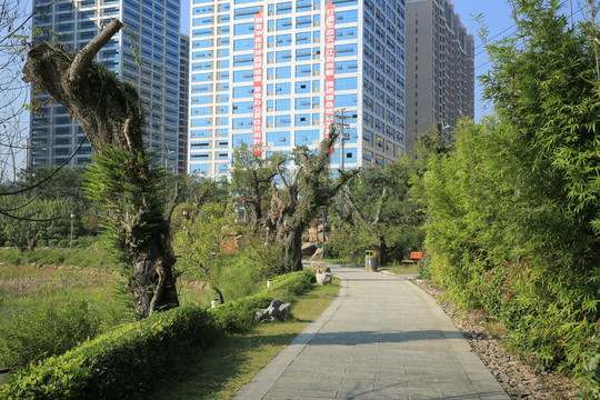 園林路