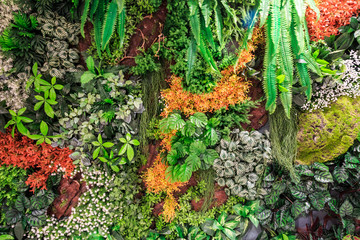 植物墻