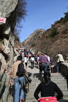 登泰山