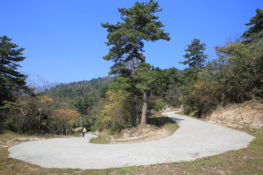彎道