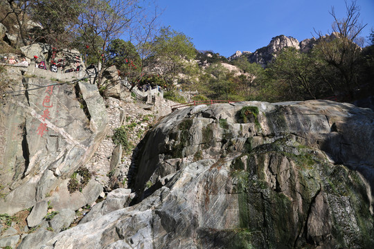 泰山