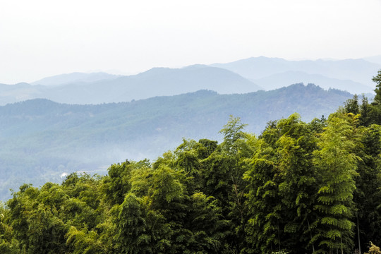 山景