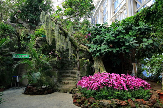 徐州植物園
