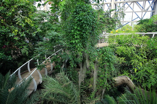 徐州植物園