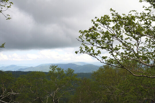 遠山如畫 山區(qū) 林區(qū) 松樹