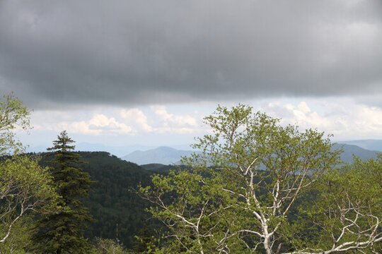 山區(qū) 樹木 山頂云朵