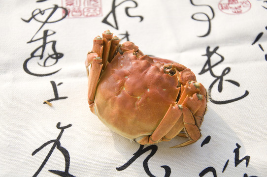 大閘蟹