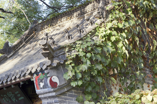 古門樓 爬山虎