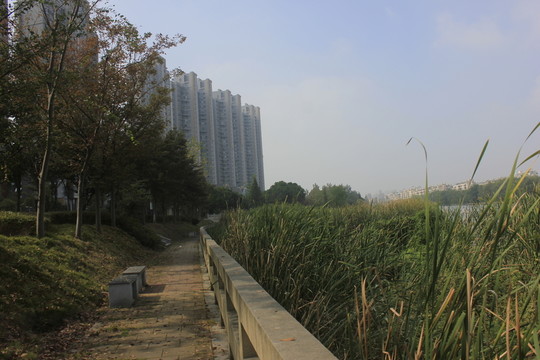 運河畔的城市