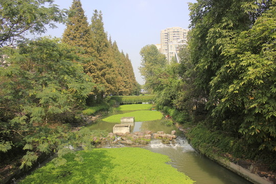 城市綠道