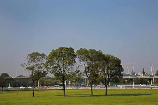 城市綠化