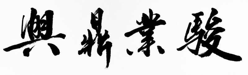 駿業(yè)鼎興