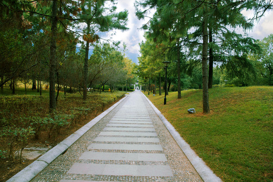 公園 大道 道路 石板路
