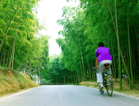 竹林單車 竹林小路