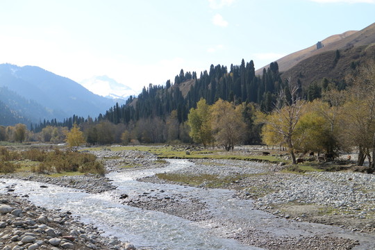 秋山碧水