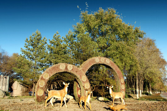 城市深林 公園