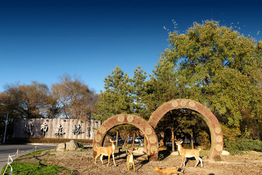 城市深林 公園