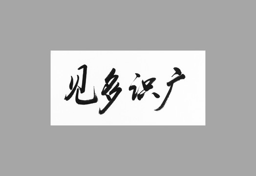 見多識廣