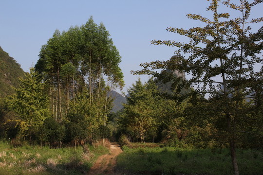 小路
