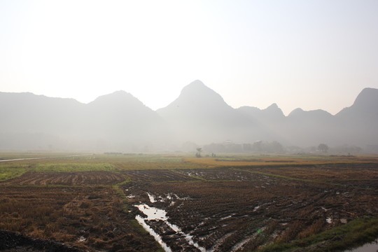 田園