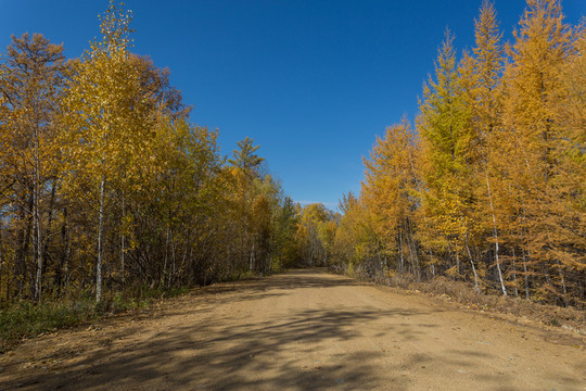 秋景公路