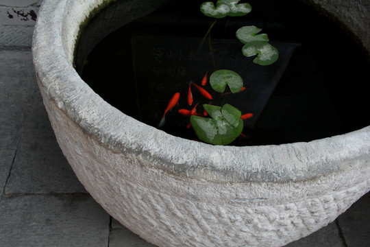 中國園林養(yǎng)魚荷花缸石缸