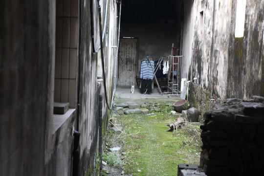千柱屋