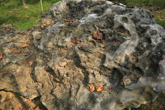 石頭