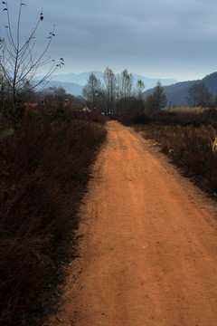 鄉(xiāng)間小路 風景