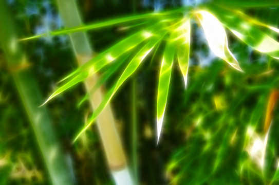 簡(jiǎn)約抽象畫 無(wú)框畫 裝飾畫
