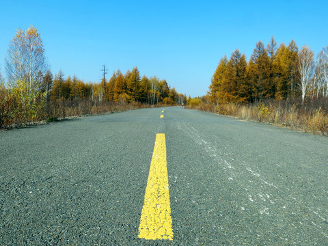 秋季的公路