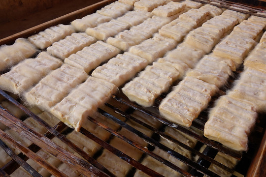 毛豆腐