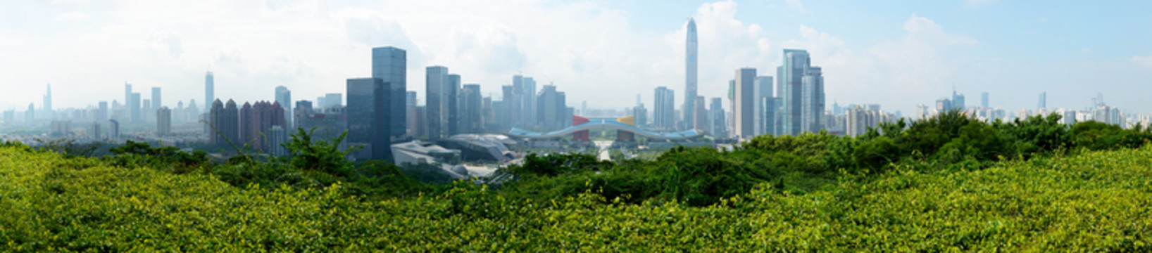 深圳全景圖