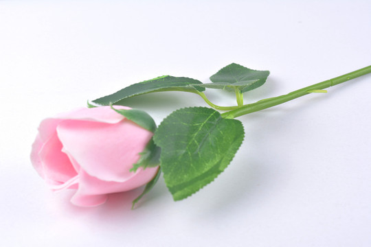 一朵玫瑰花
