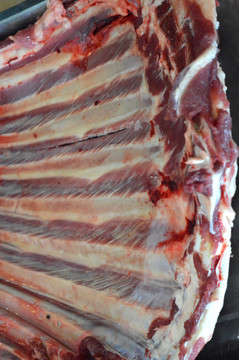 肉排