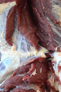 鮮肉