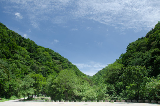 嘉陵江源頭原始森林