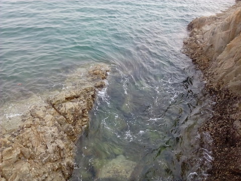 海水