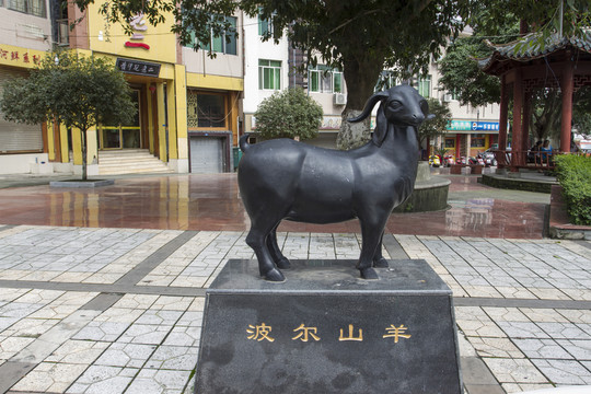 波爾山羊