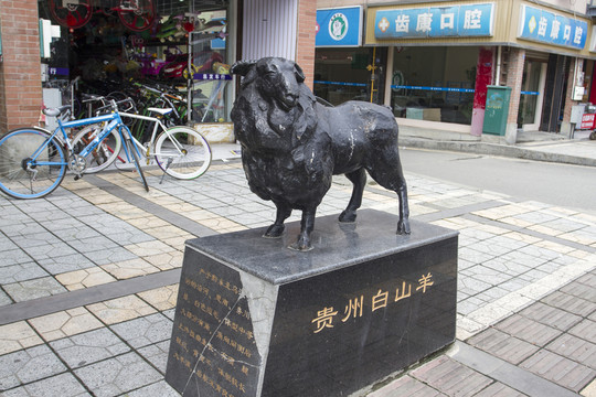 貴州白山羊