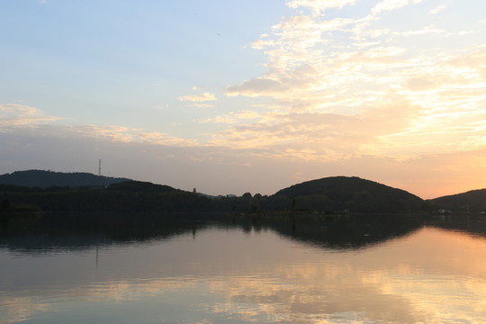 東湖梅園風景